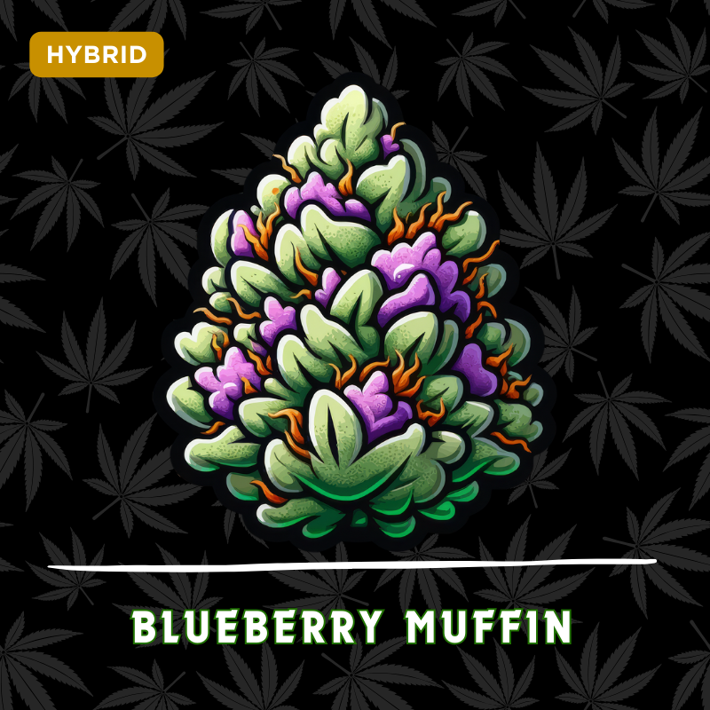 Blueberry Muffin