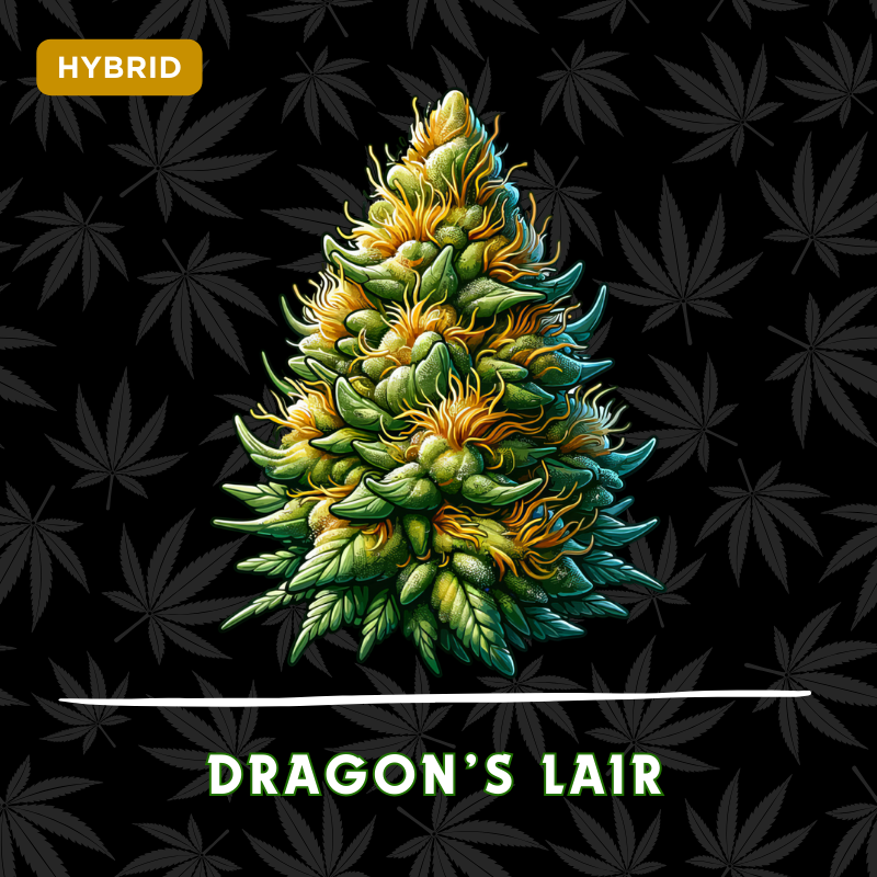 Dragons Lair