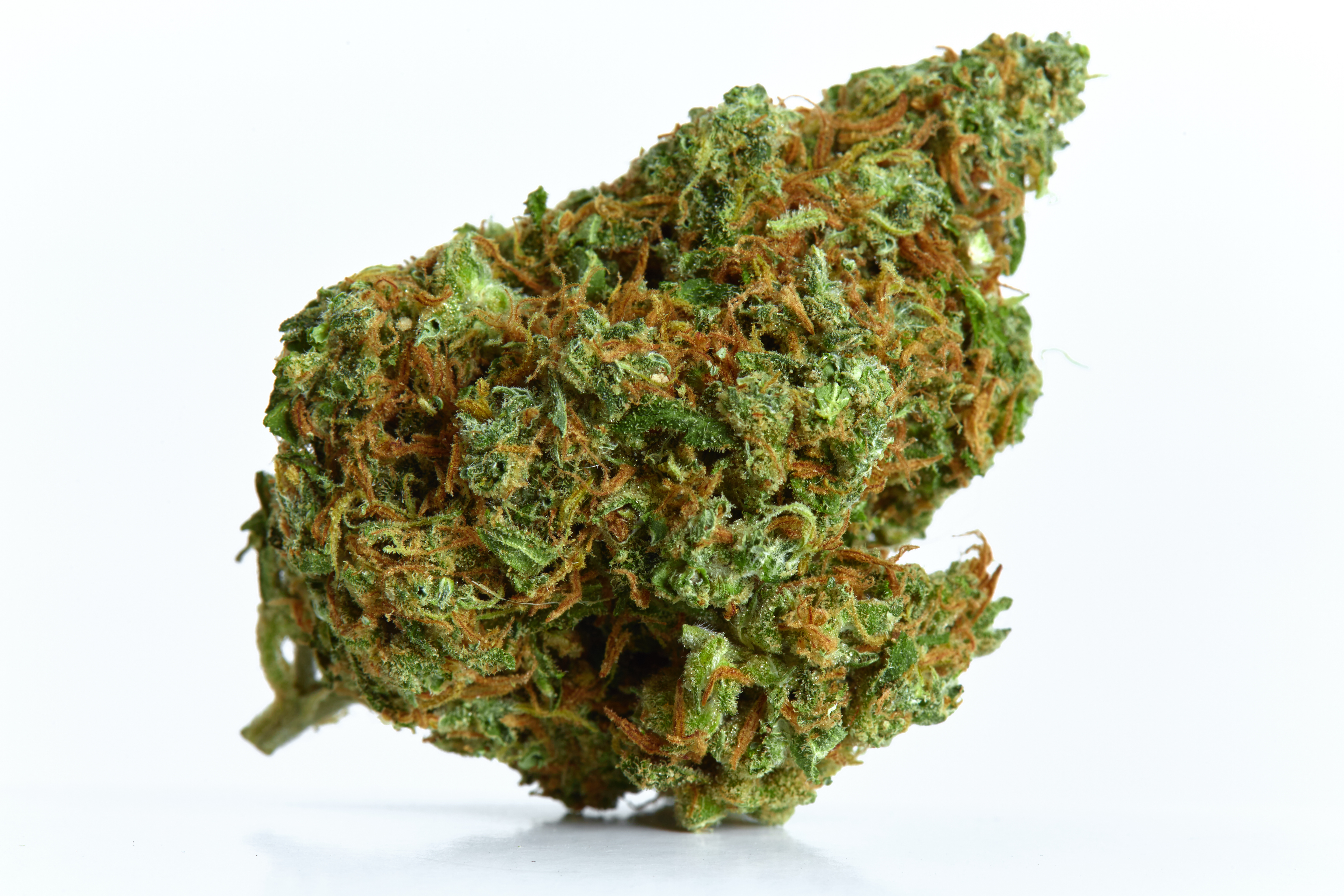 XJ13 Cannabis Strain Bud (macro)
