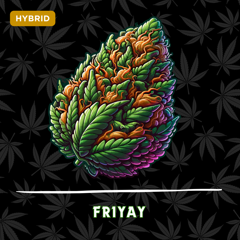 Friyay