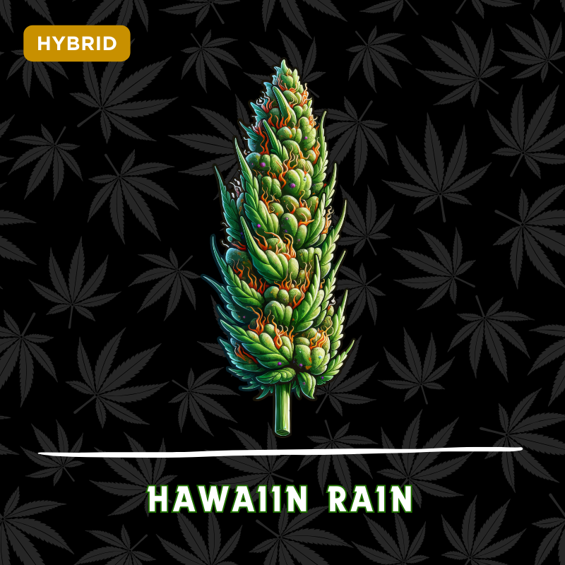Hawaiian Rain