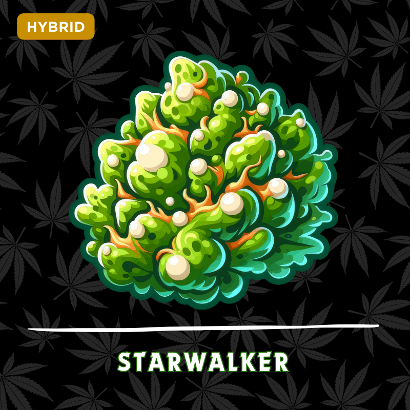 Starwalker