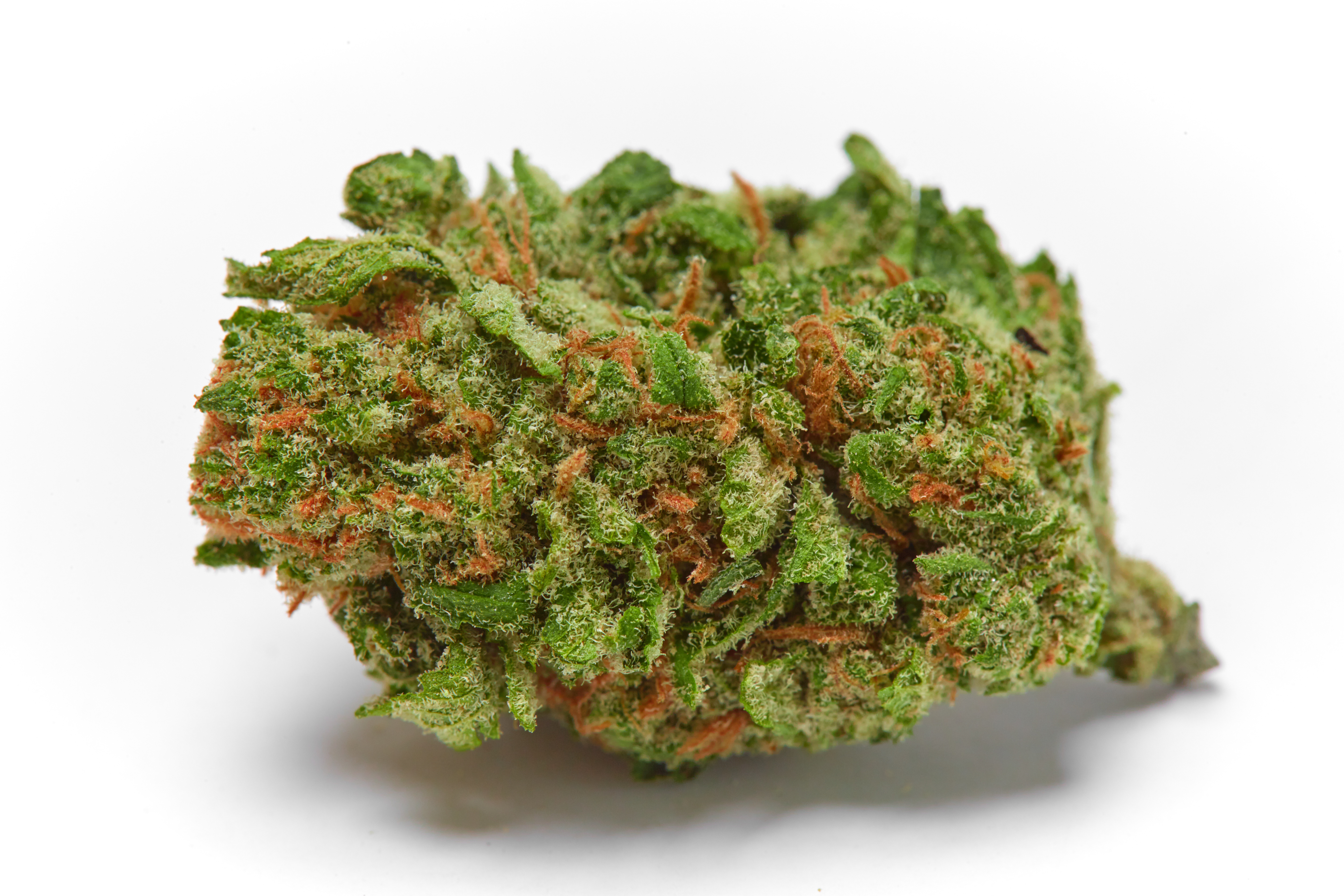 Dreamwalker Cannabis Strain Bud (macro)