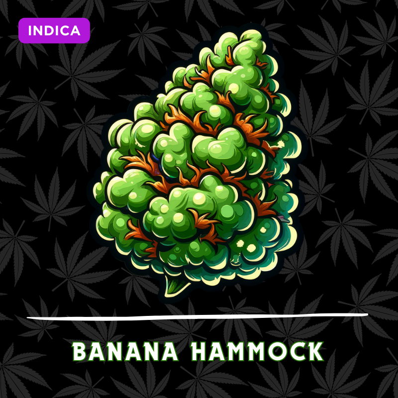 Banana Hammock