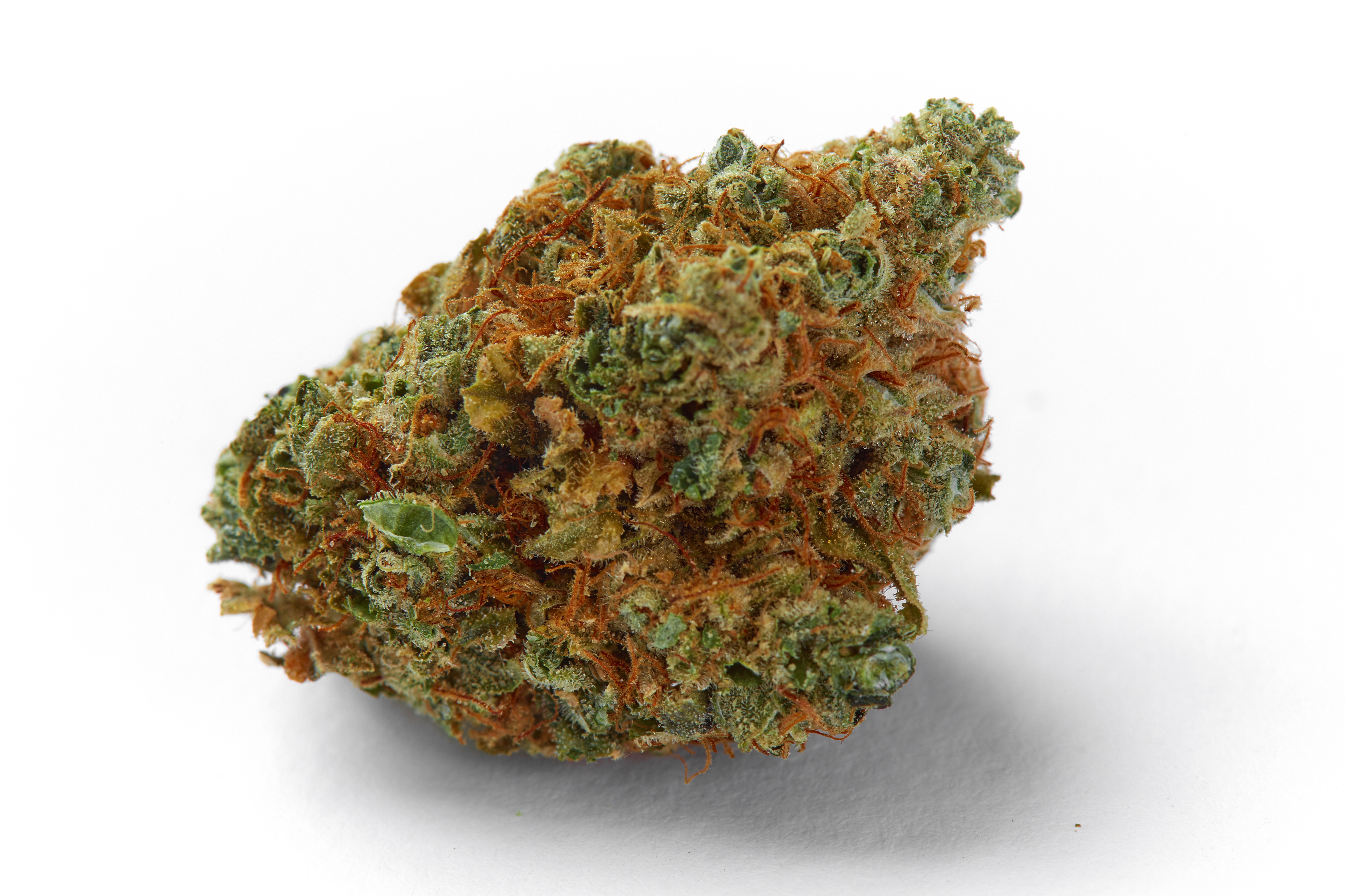 Space Cowboy Cannabis Strain Bud (macro)
