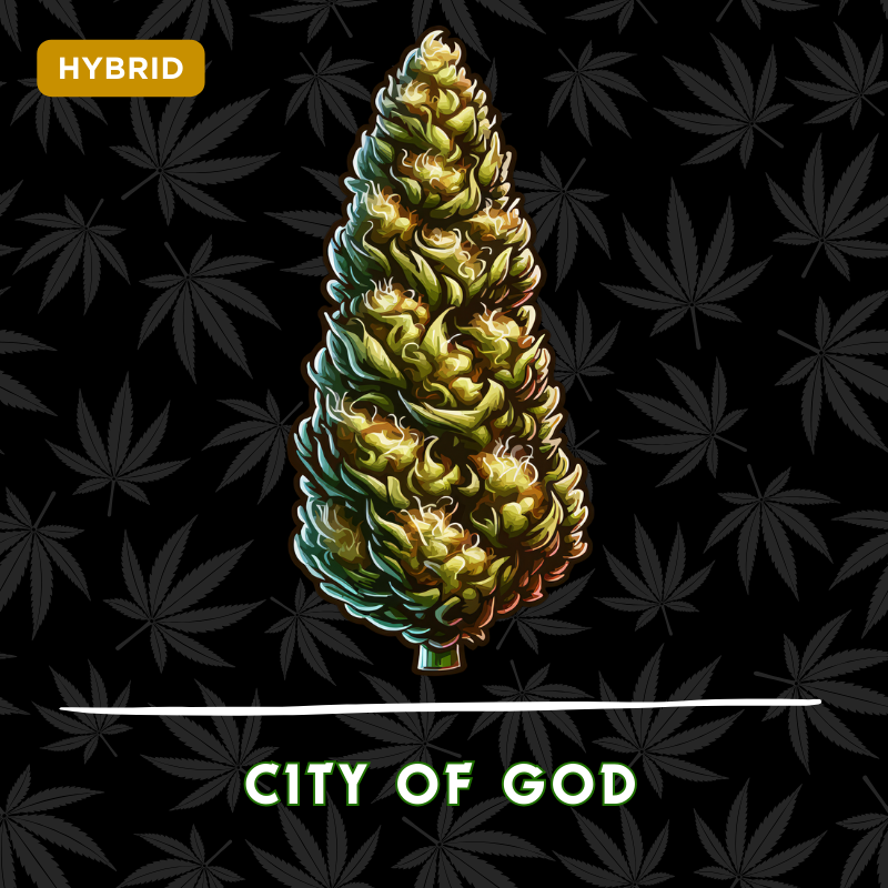 City of God