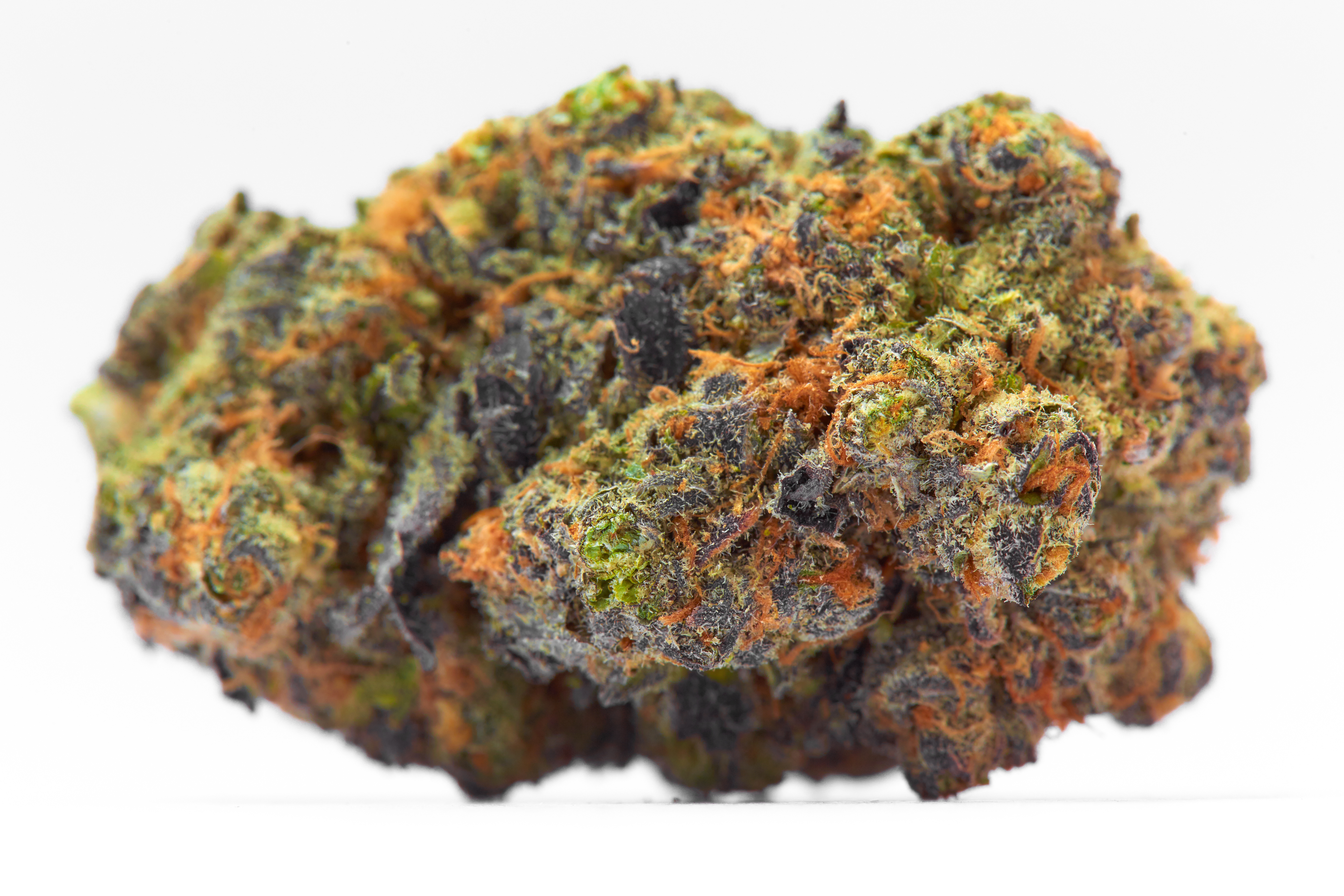 Gelato Cannabis Strain Bud 3 (macro)