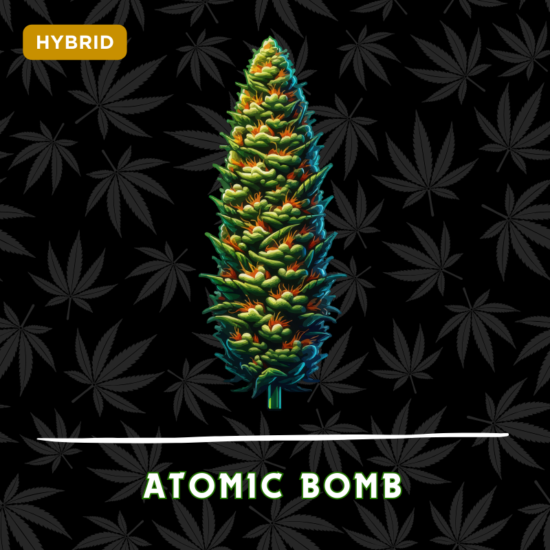 Atomic Bomb