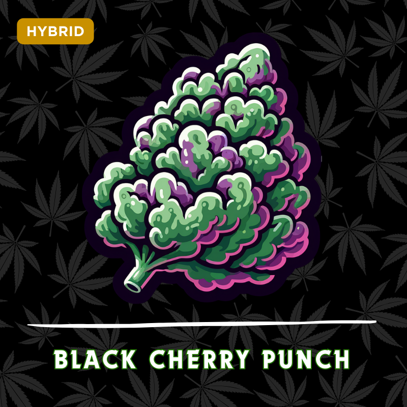 Black Cherry Punch