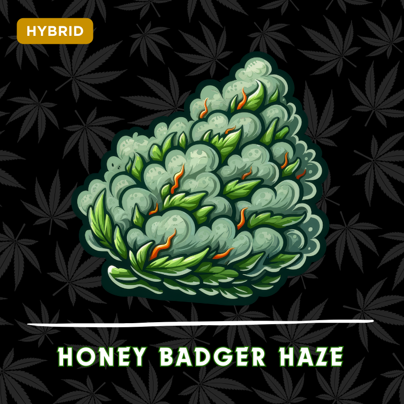 Honey Badger Haze