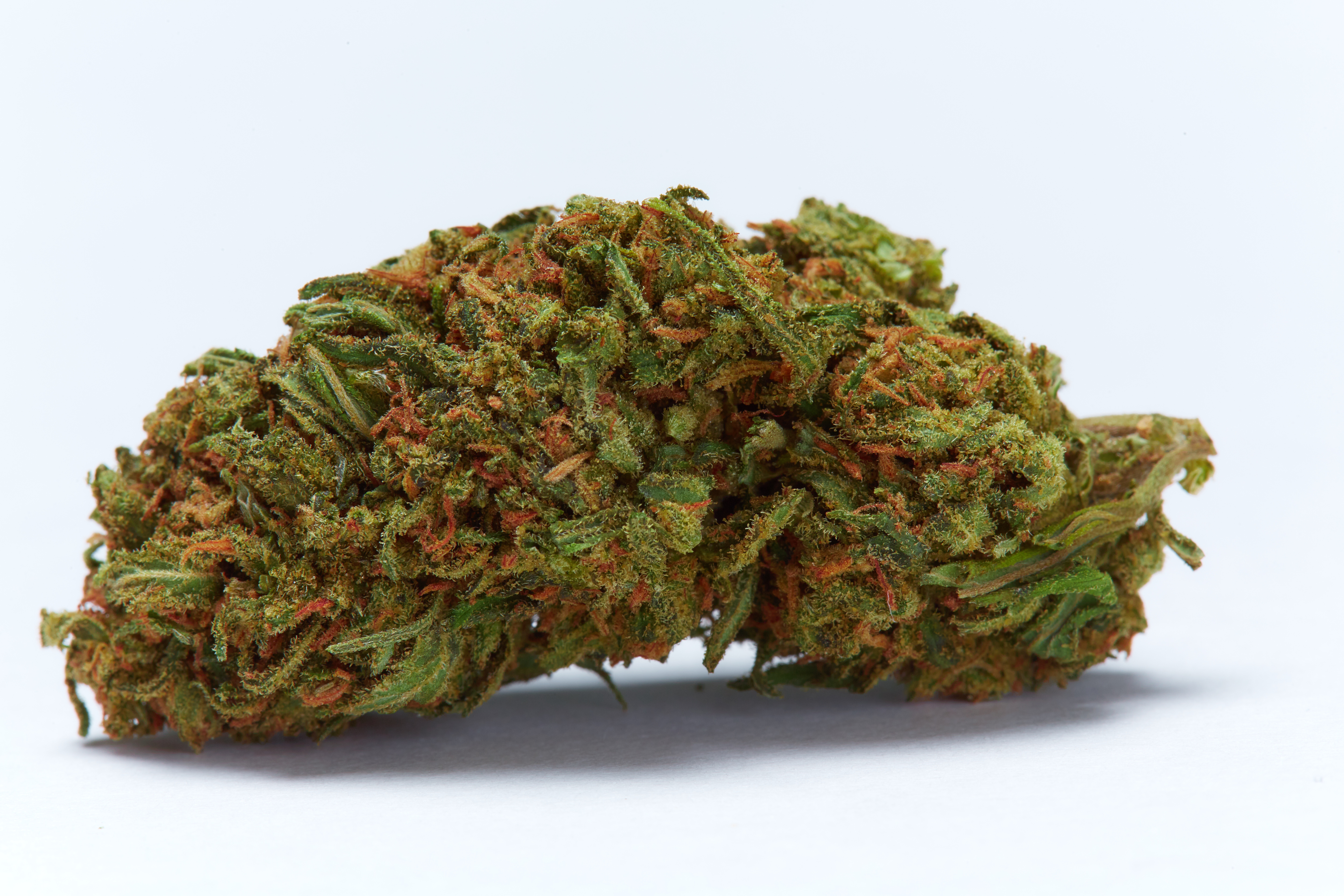 Durban Poison Cannabis Strain Bud (macro)