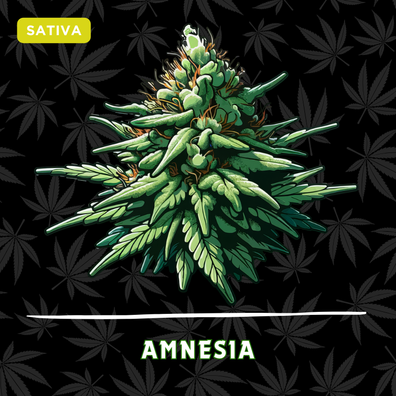 AmnesIa