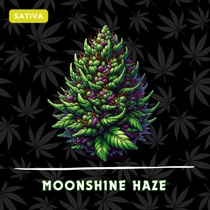 Moonshine Haze