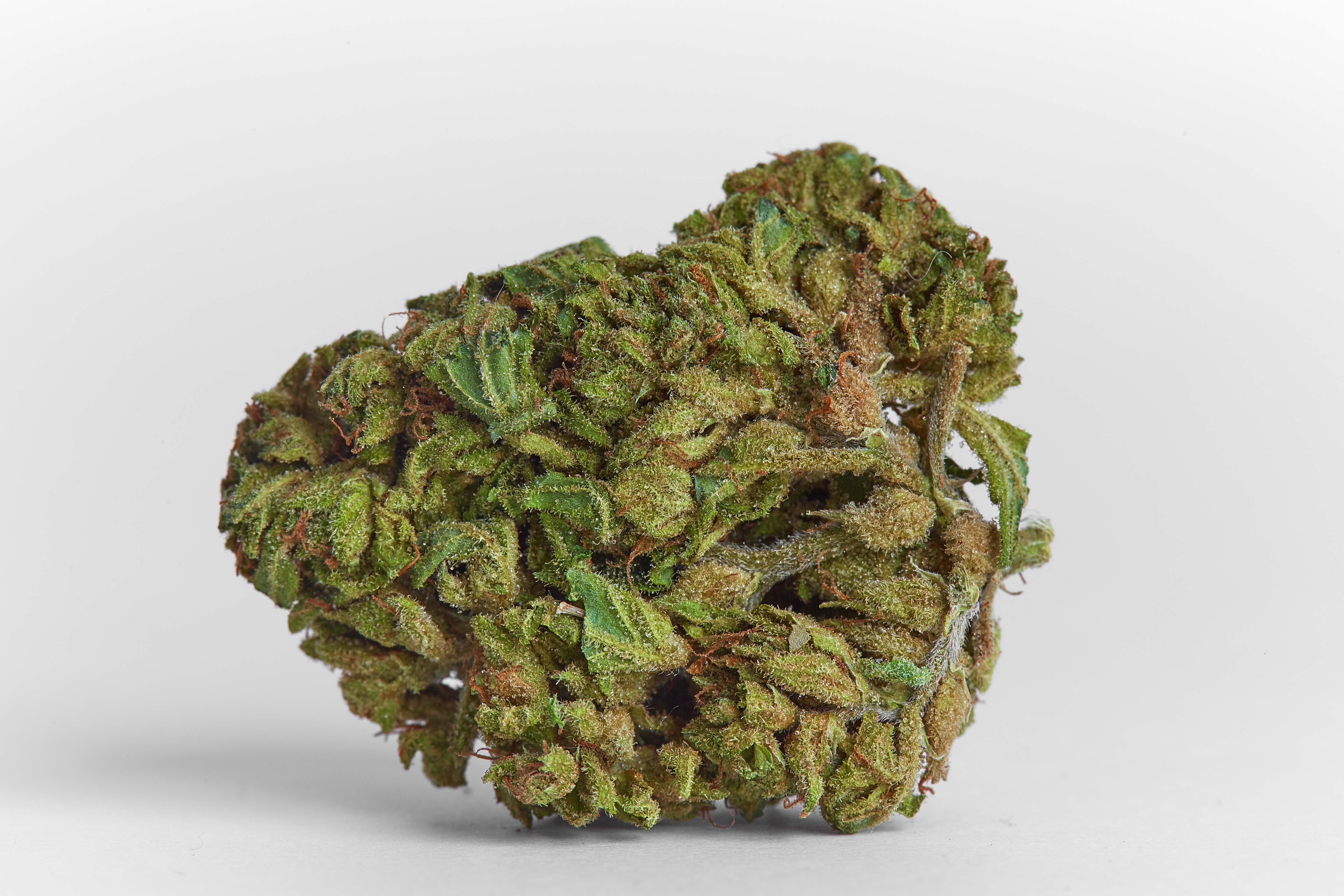 Northern Lights Cannabis Strain Bud (macro)