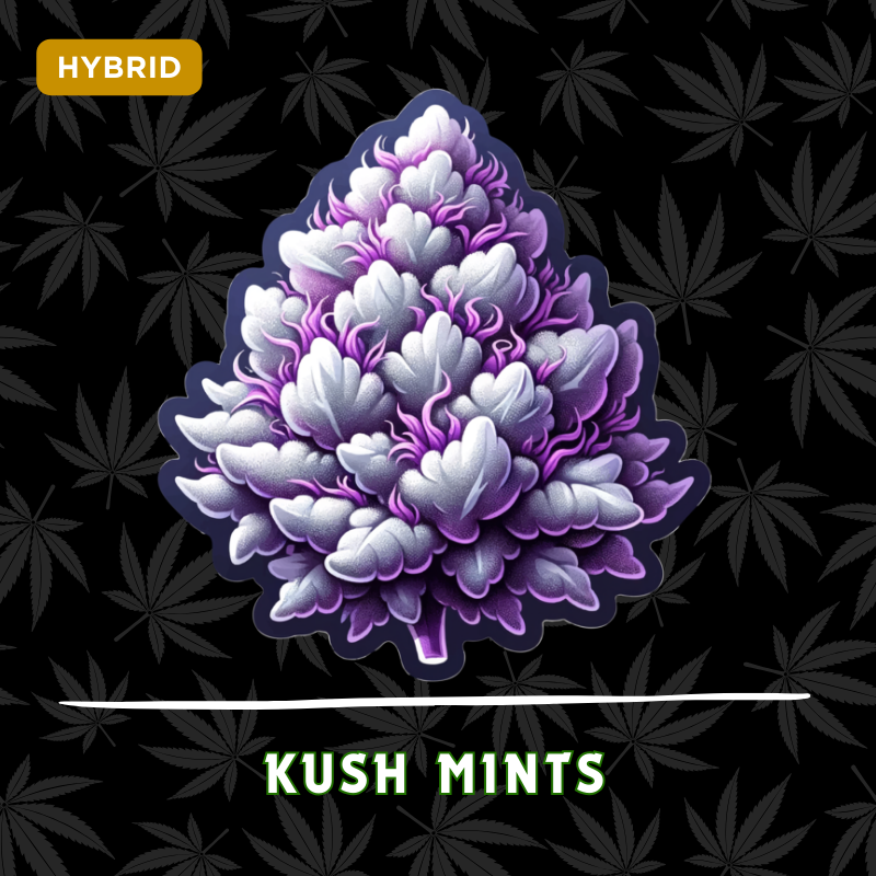 Kush Mints