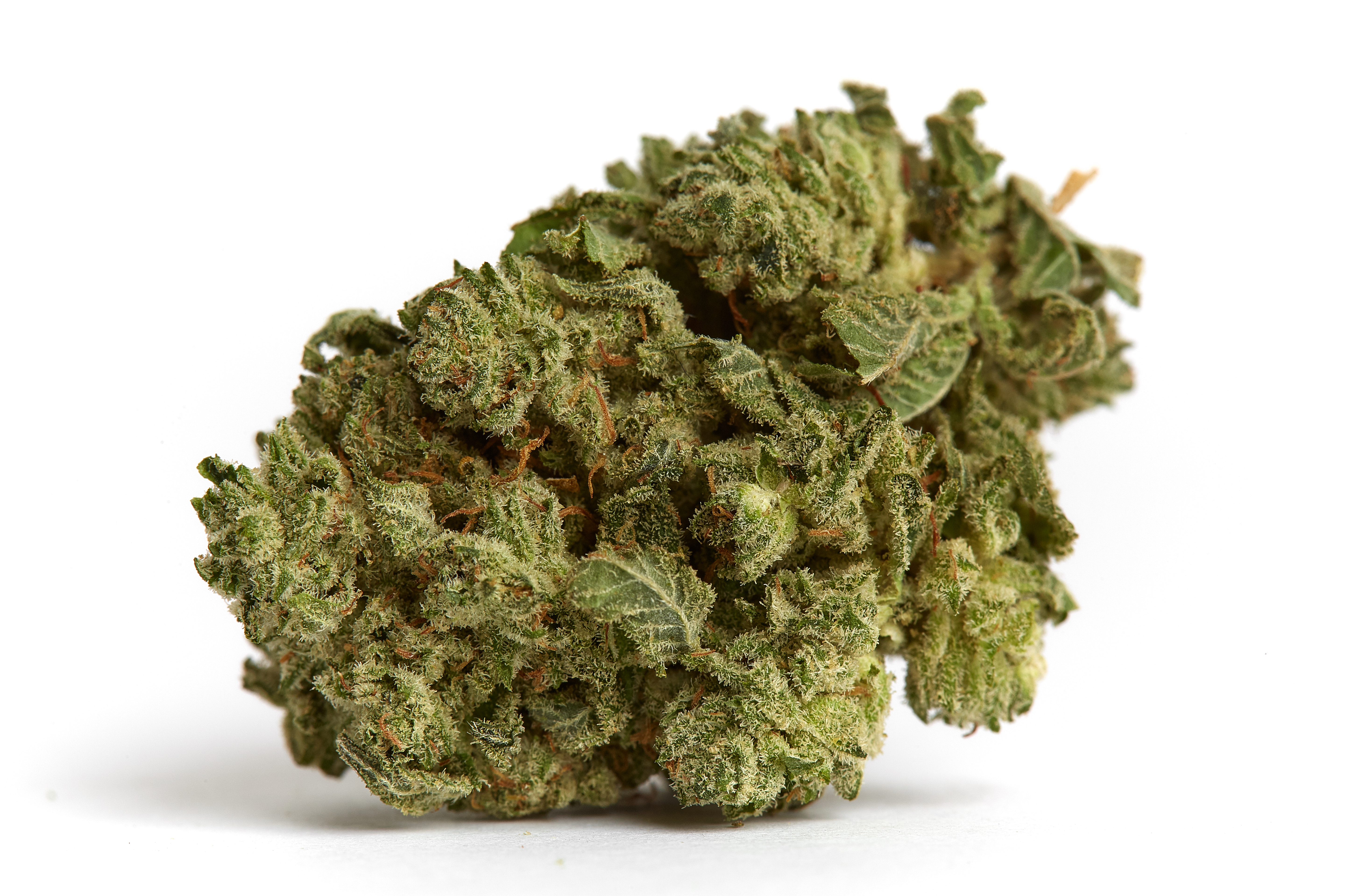 Wedding Cake Cannabis Strain Bud (macro)