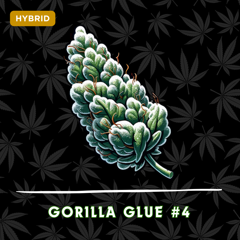 Gorilla Glue #4