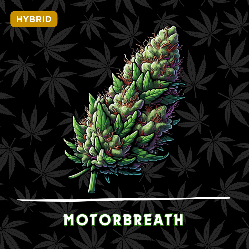 Motorbreath