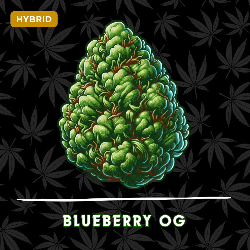 Blueberry OG
