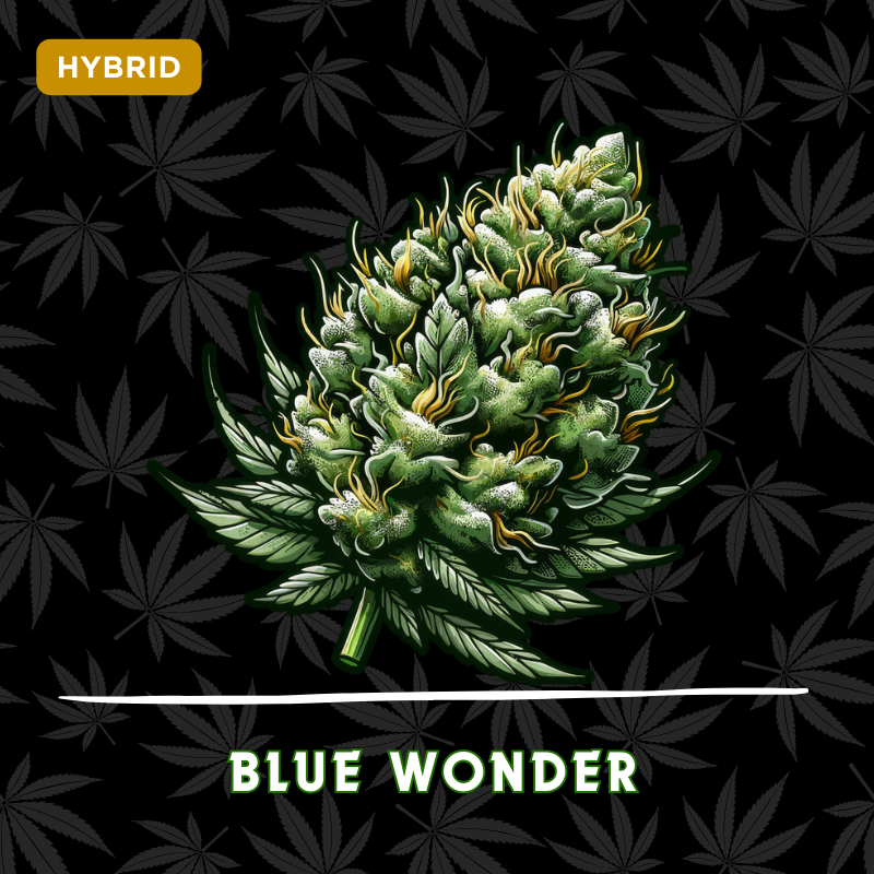 Blue Wonder
