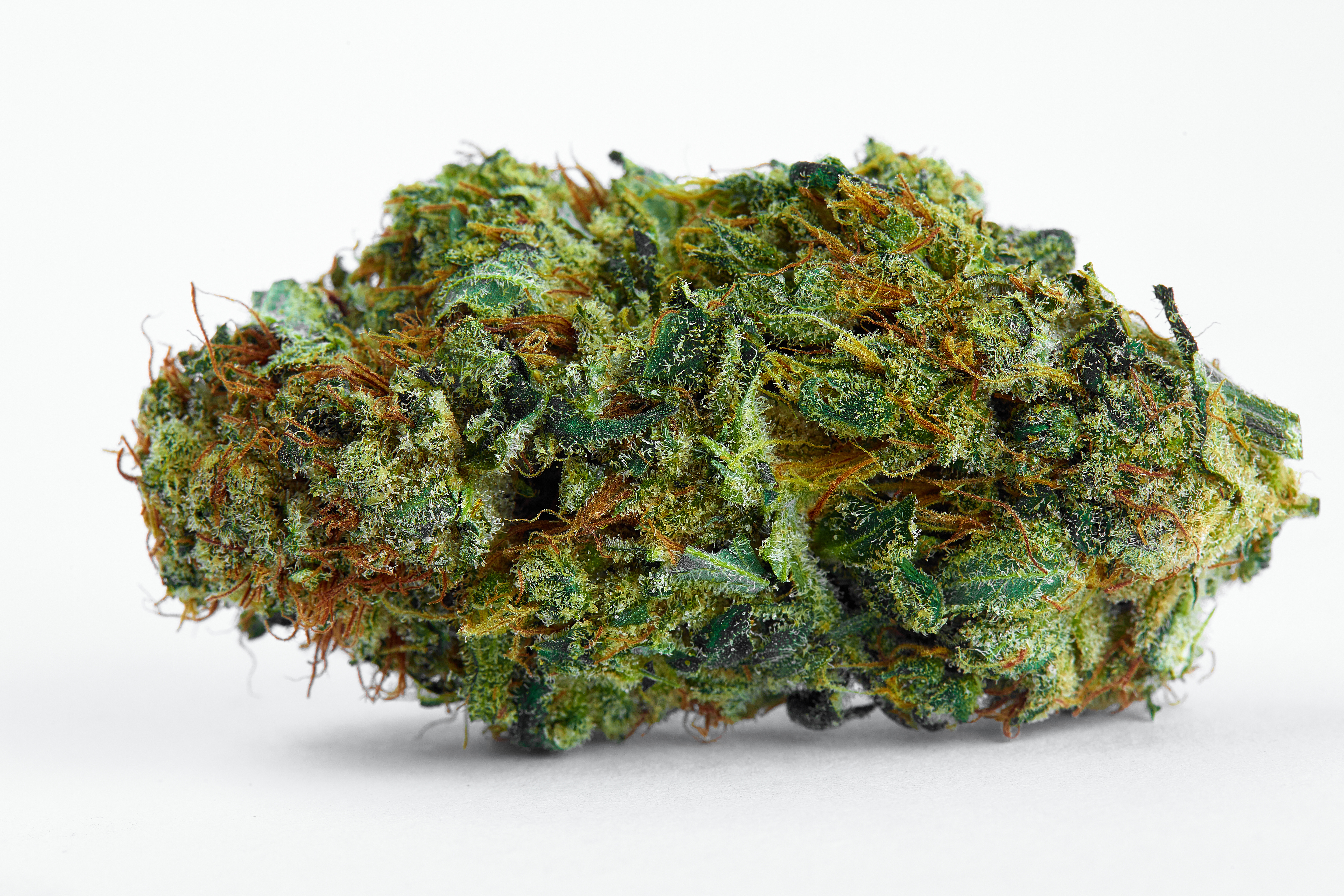Dutch Treat Cannabis Strain Bud (macro)