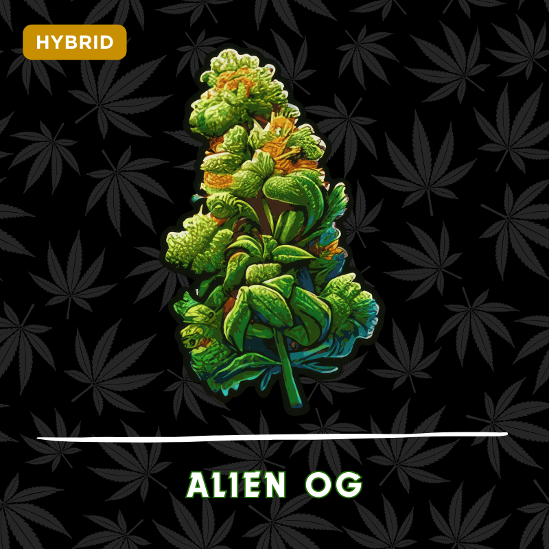 Alien OG