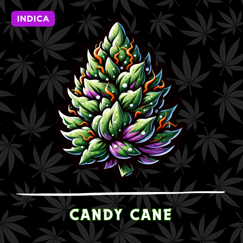 Candy Cane