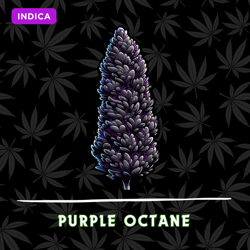 Purple Octane