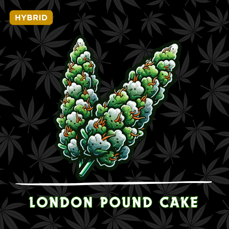 London Pound Cake