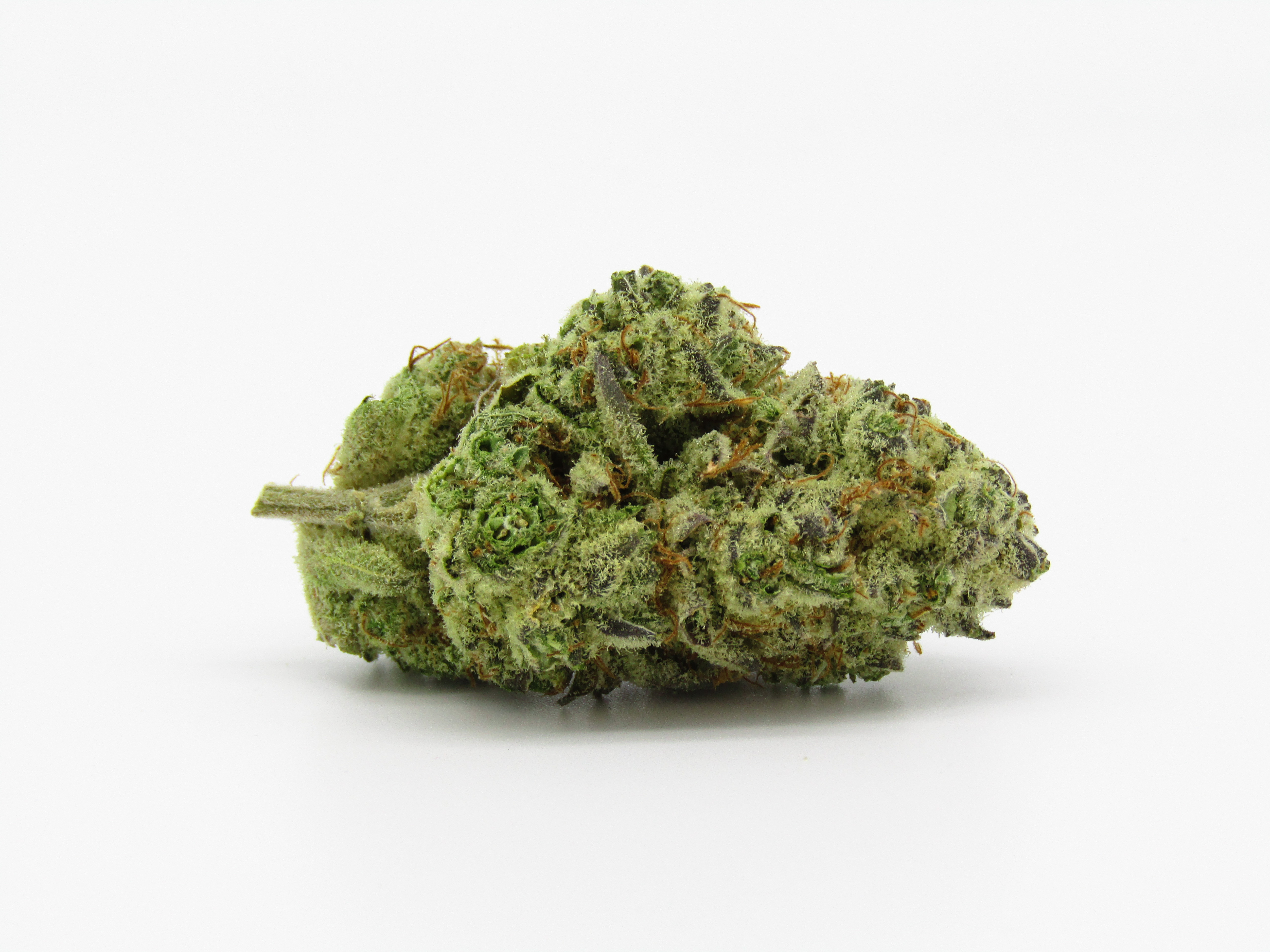 Snow Monster Cannabis Strain Bud (macro)