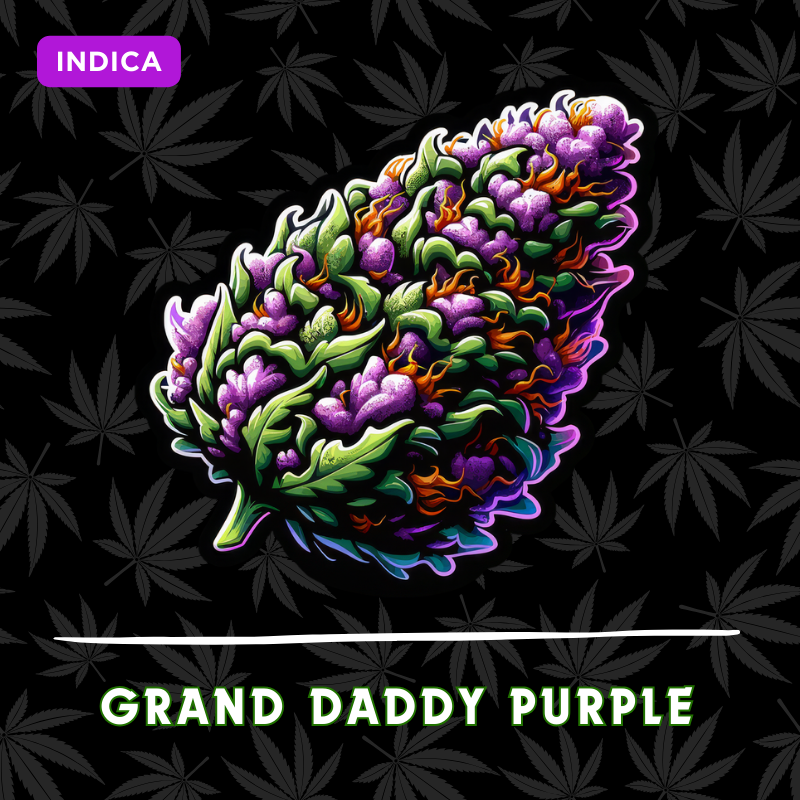 Grand Daddy Purple