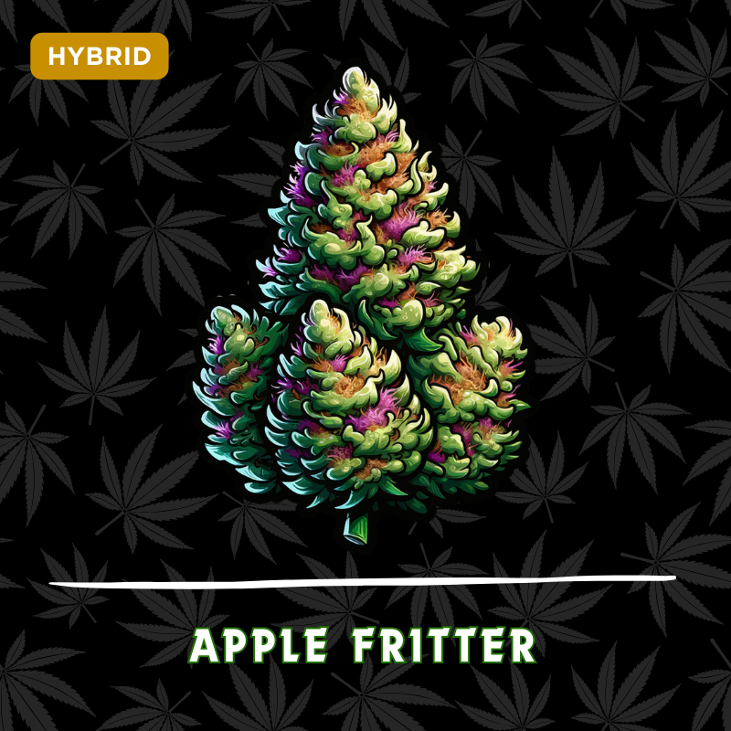 Apple Fritter