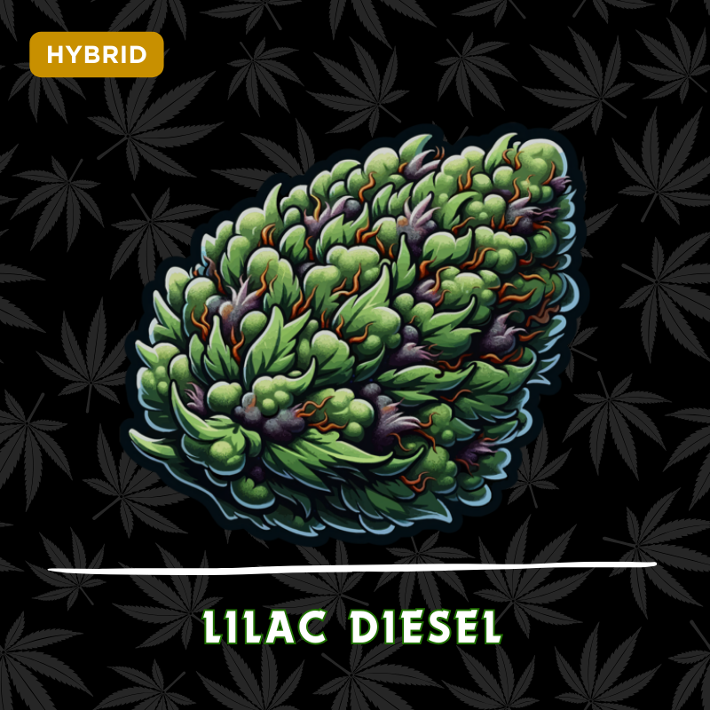 Lilac Diesel