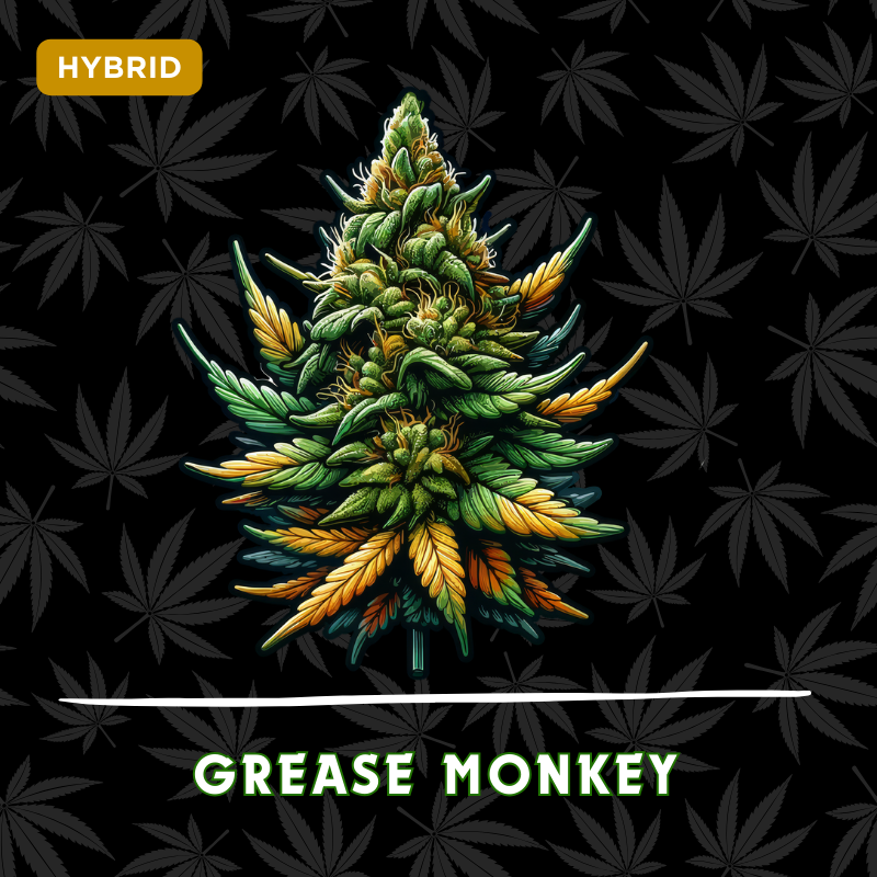 Grease Monkey
