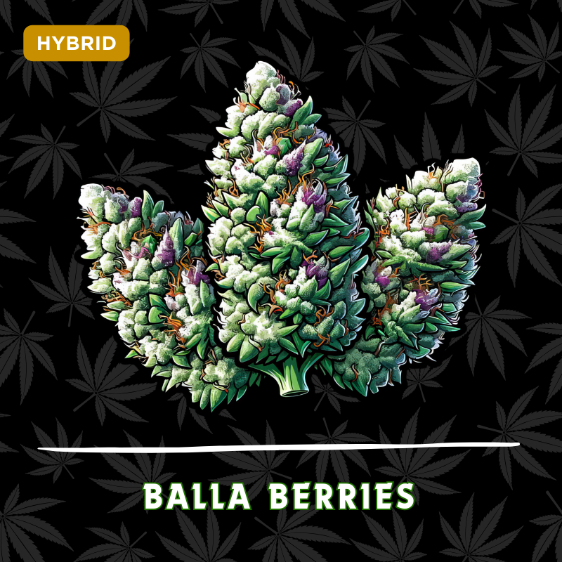 Balla Berries