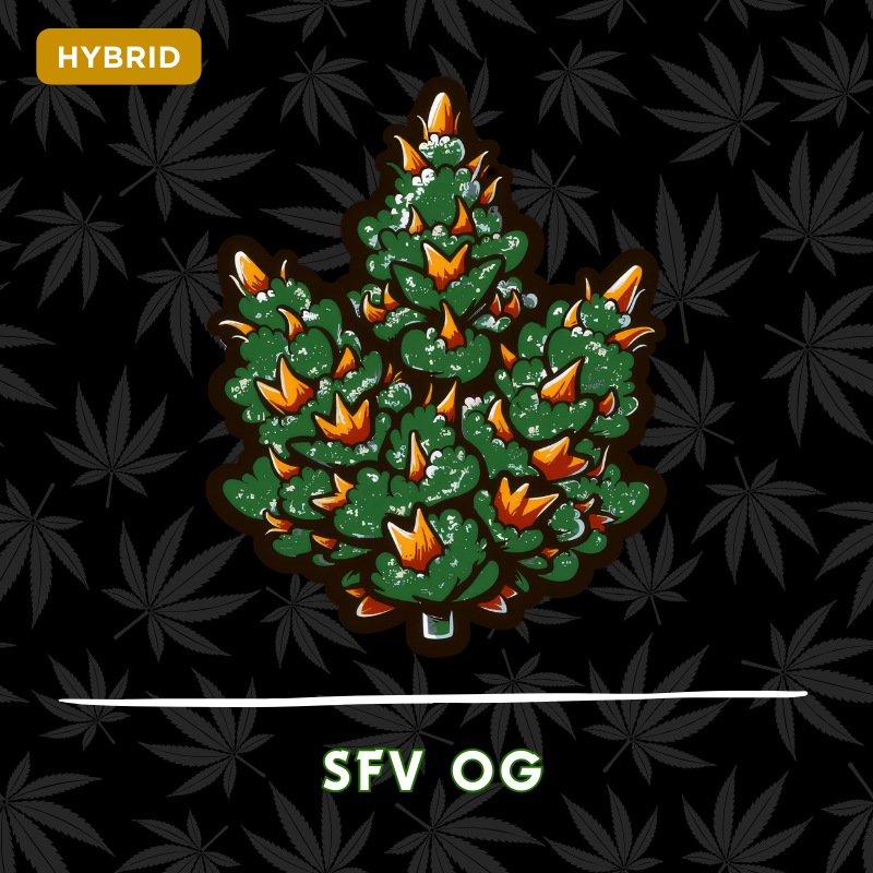 SFV OG