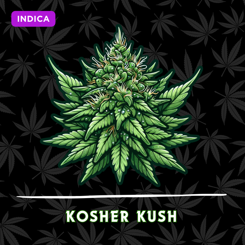 Kosher Kush