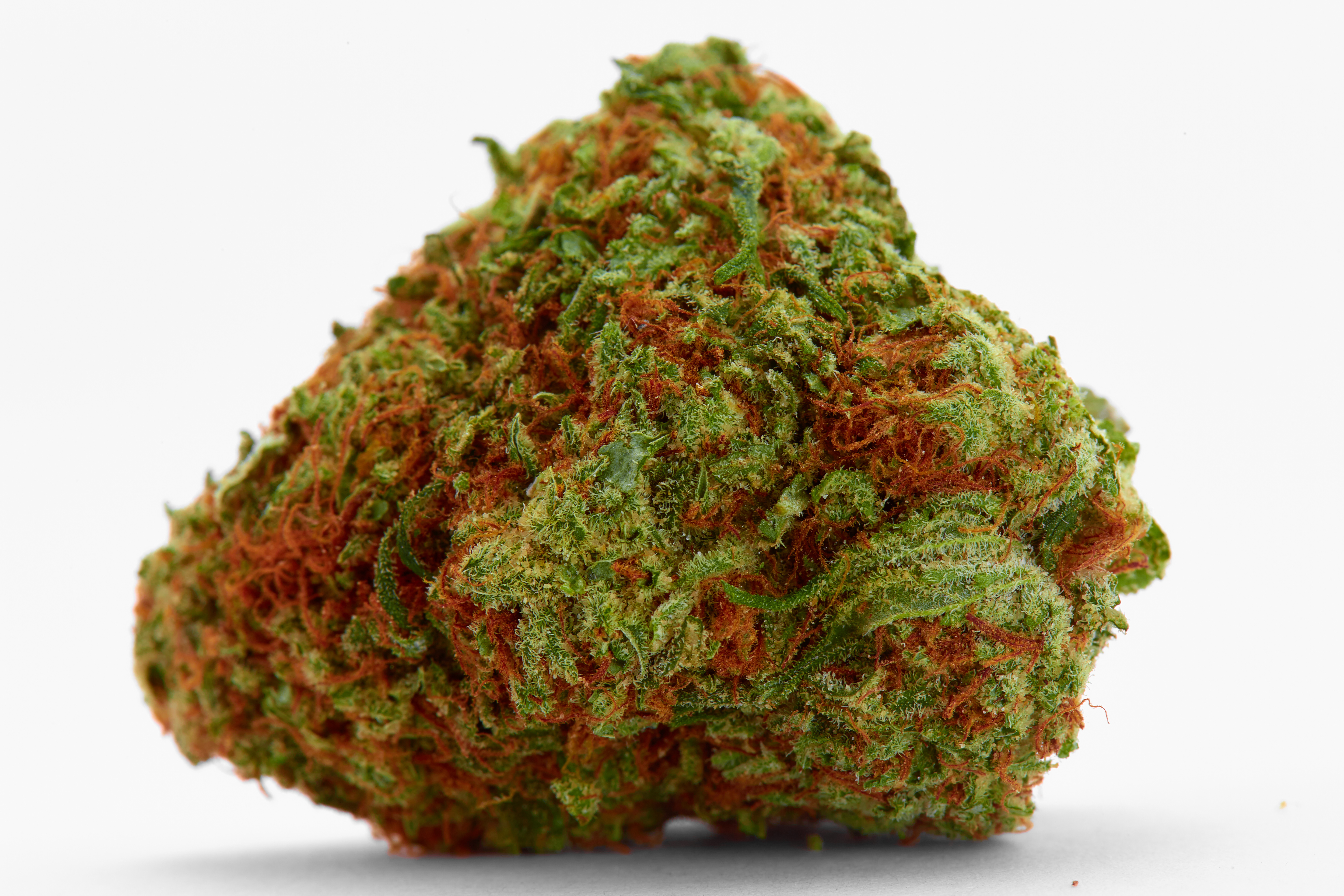 Mango Tango Cannabis Strain Bud (macro)