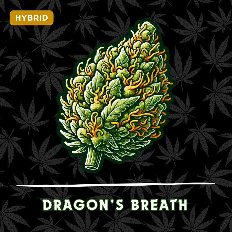 Dragons Breath