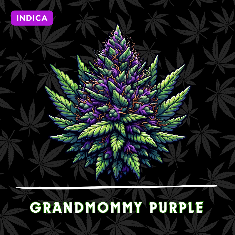Grandmommy Purple