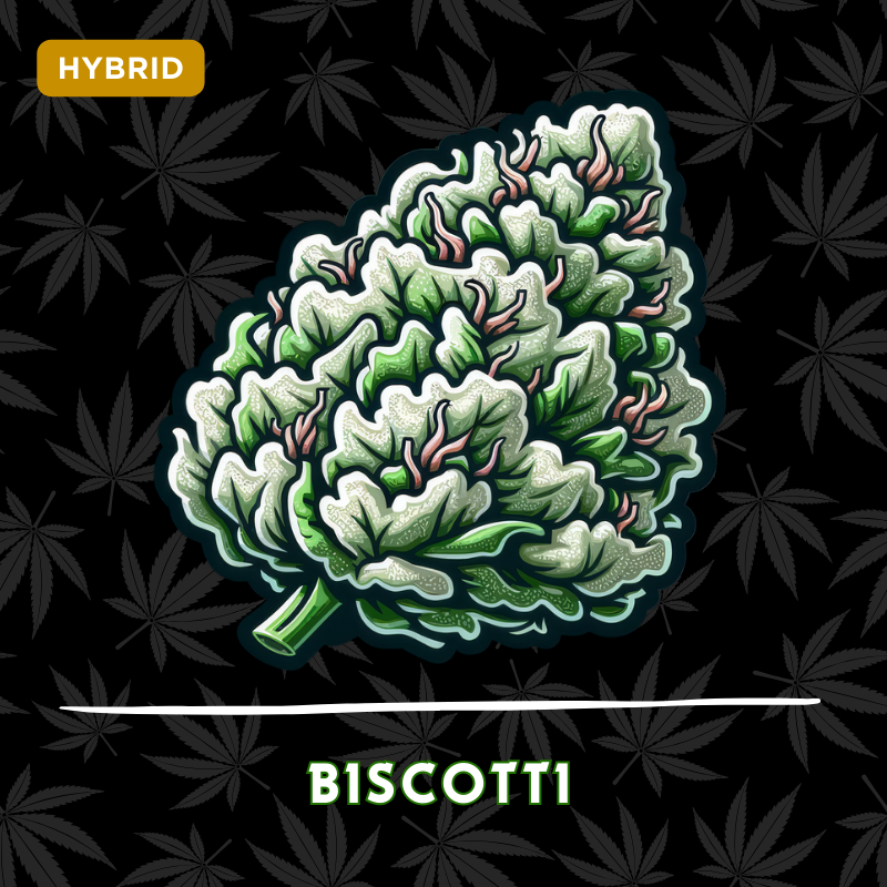 Biscotti