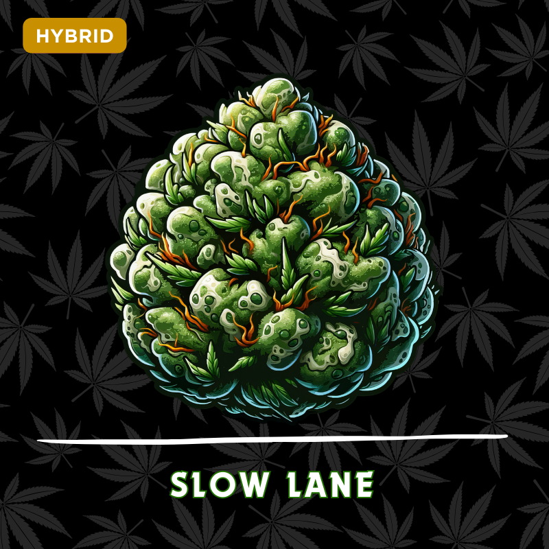 Slow lane