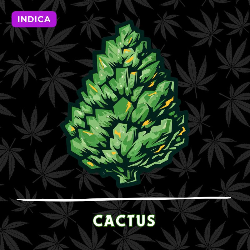 Cactus