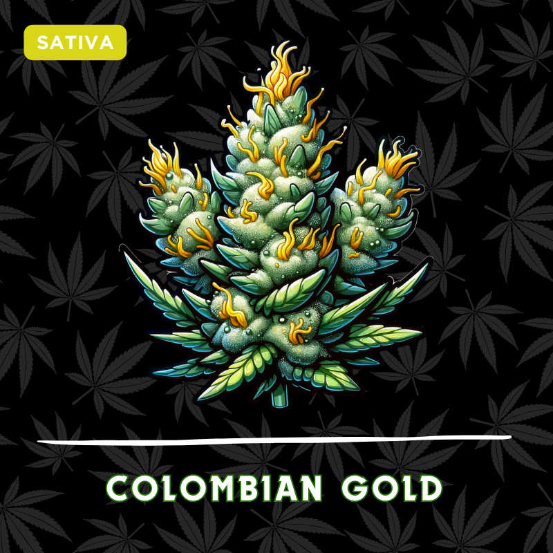 Colombian Gold