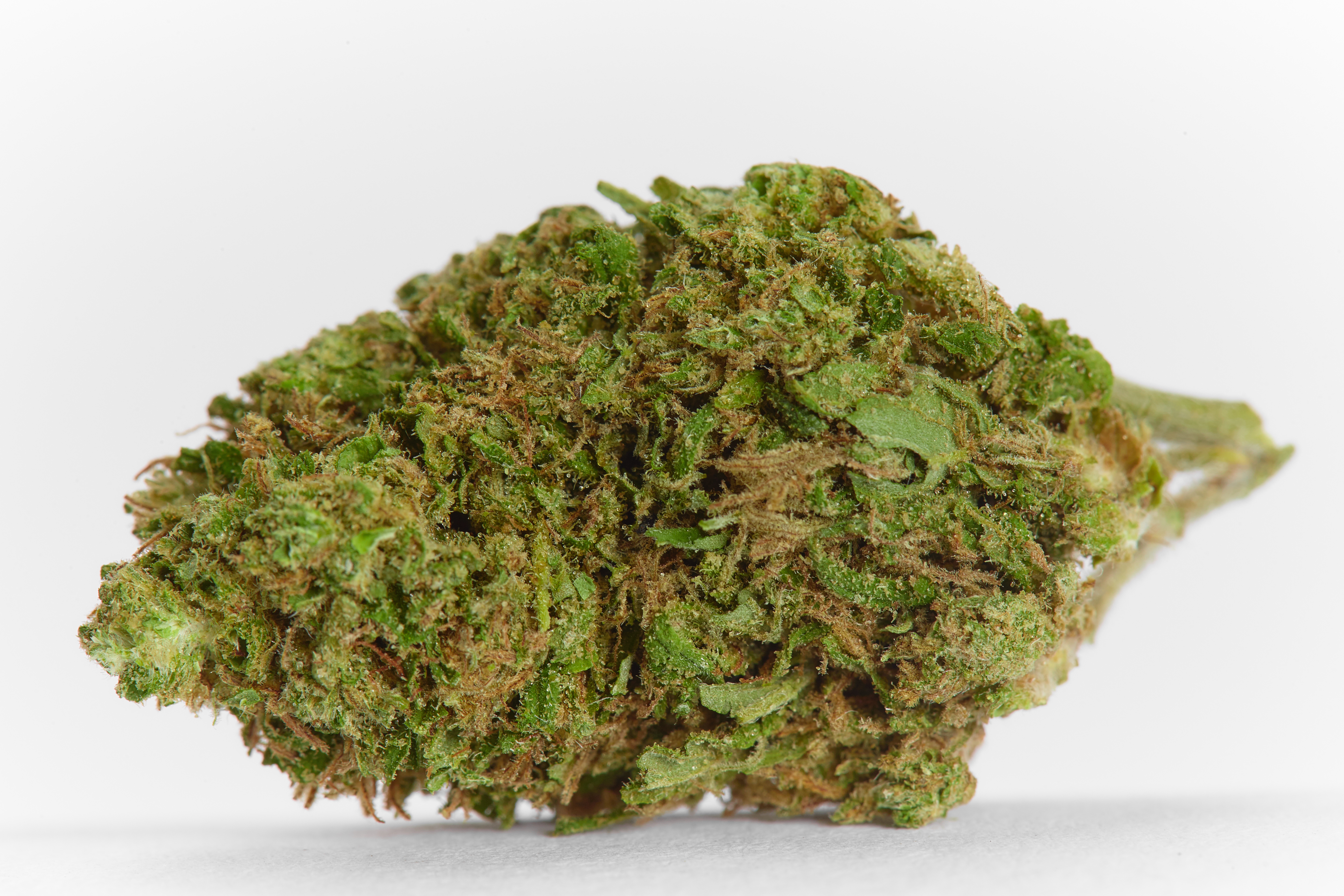 Blood Orange Cannabis Strain Bud (macro)