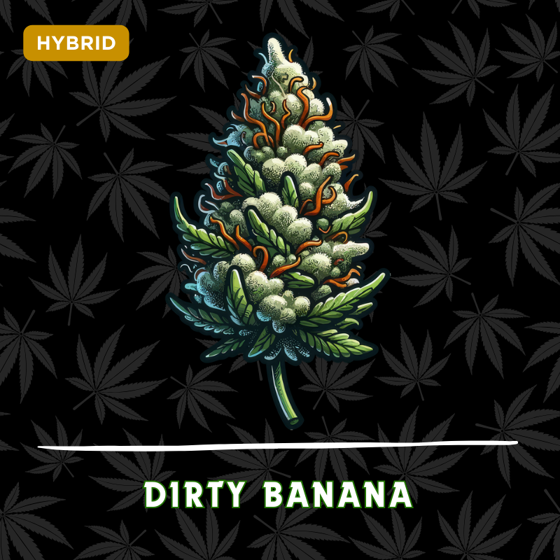 Dirty Banana