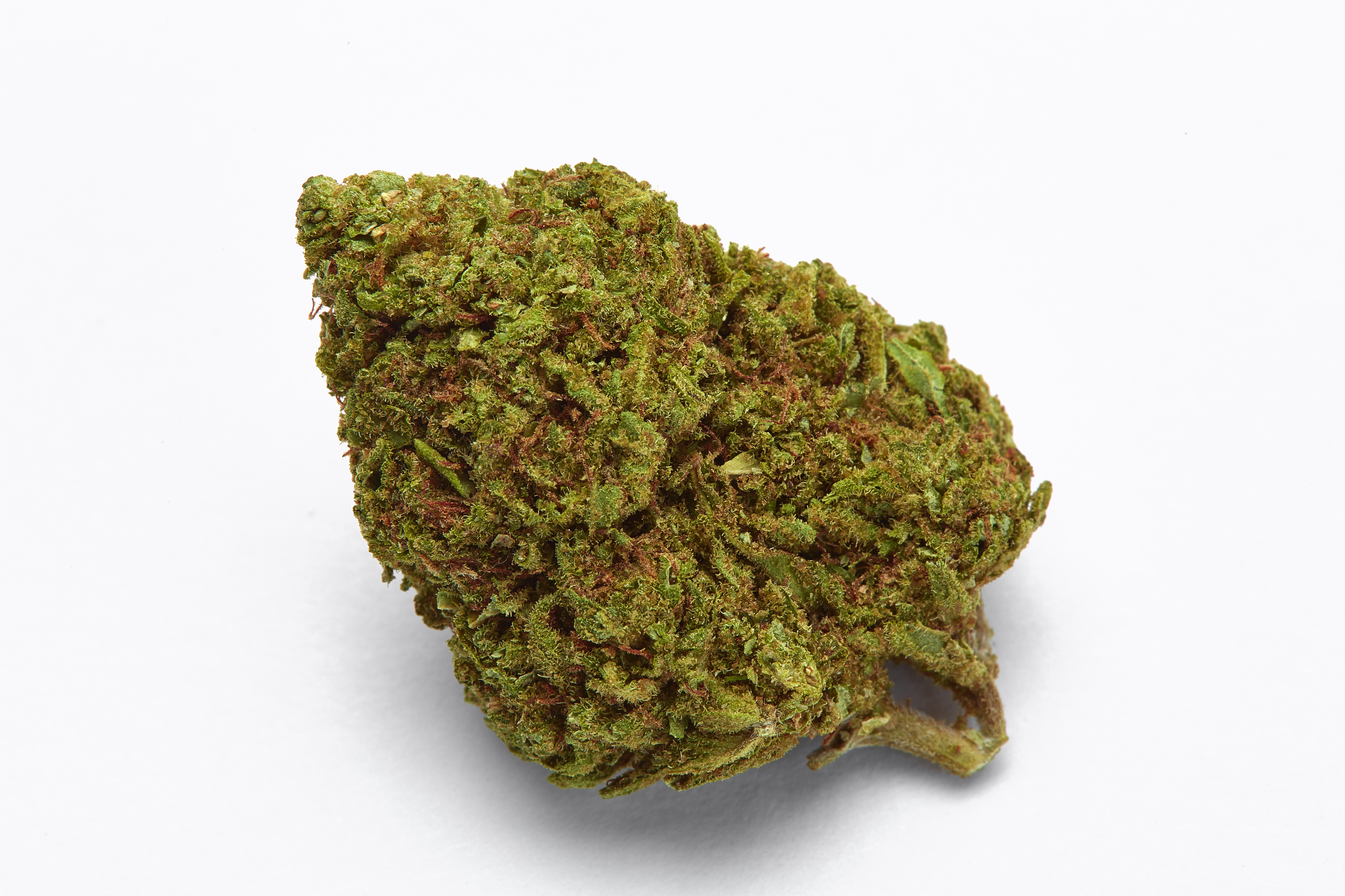 Blueberry Cheese Cannabis Strain Bud (macro)
