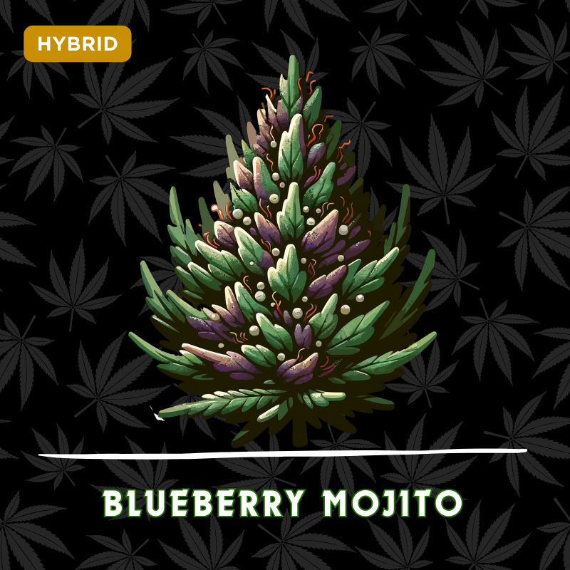 Blueberry Mojito