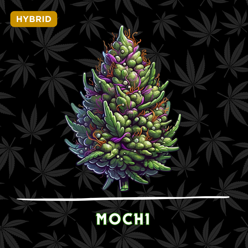 Mochi