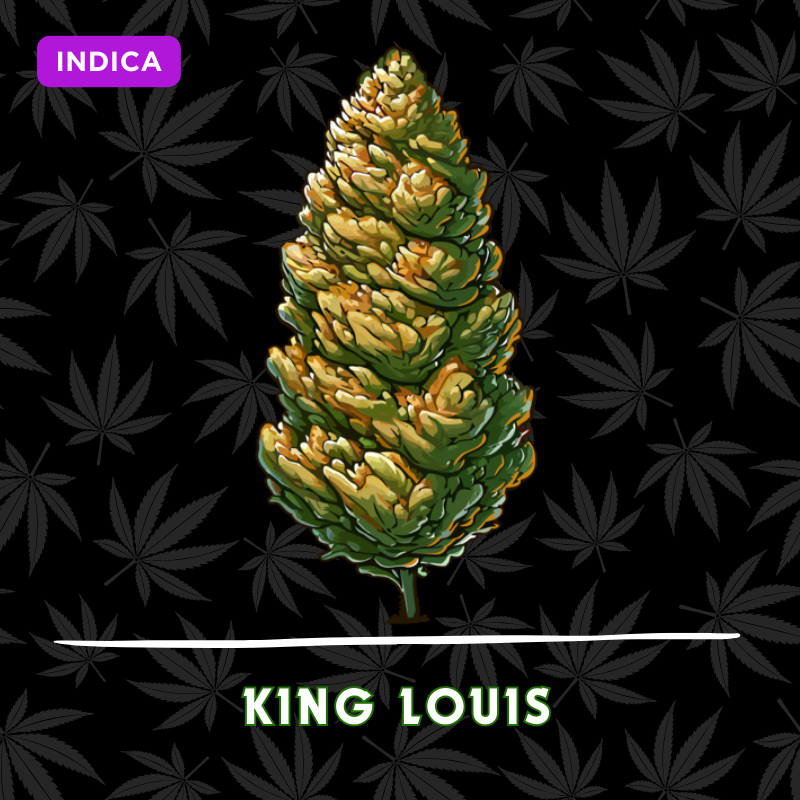 King Louis